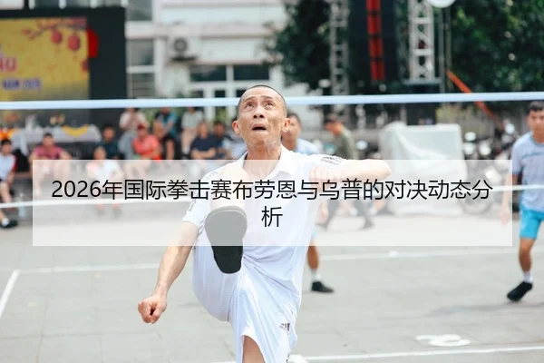 2026年国际拳击赛布劳恩与乌普的对决动态分析