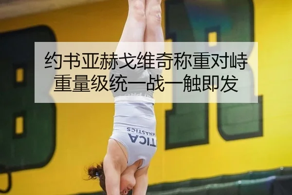 约书亚赫戈维奇称重对峙 重量级统一战一触即发
